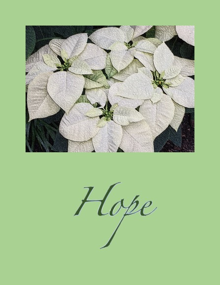 Hope Card