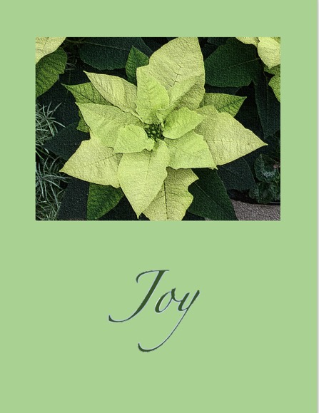 Joy Card