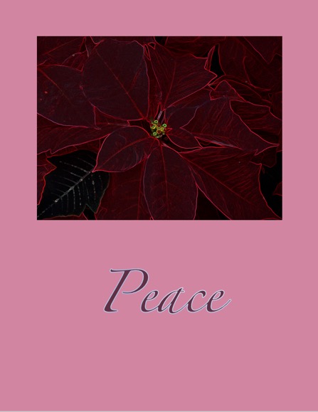 Peace Card