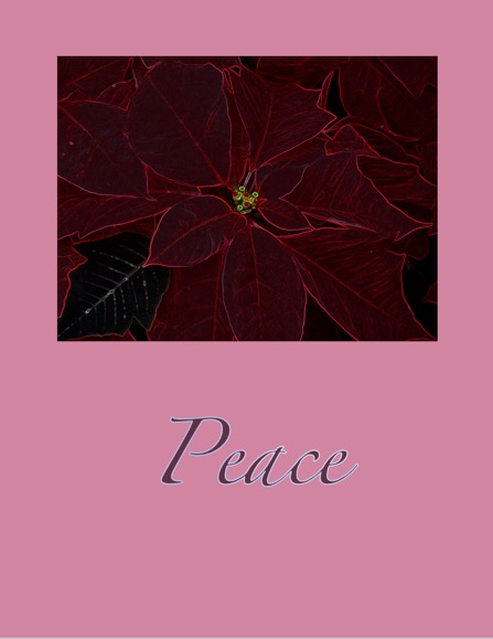 Peace Card