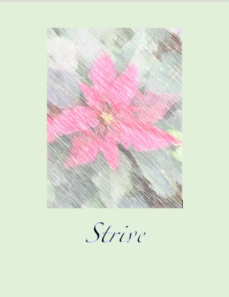 Strive Card